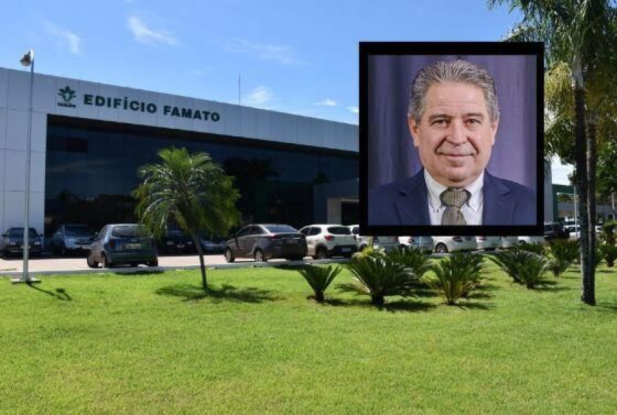 Setor avícola de MT debate ajustes no crédito rural em reunião com Banco do Brasil