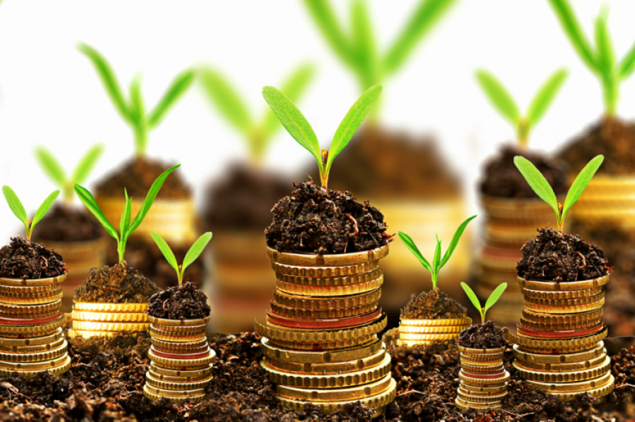 Custeio da safra de soja em Mato Grosso sobe