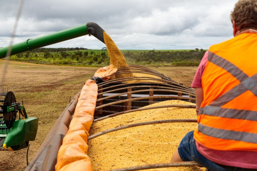 Mato Grosso fecha 2025 como o 4º maior exportador brasileiro