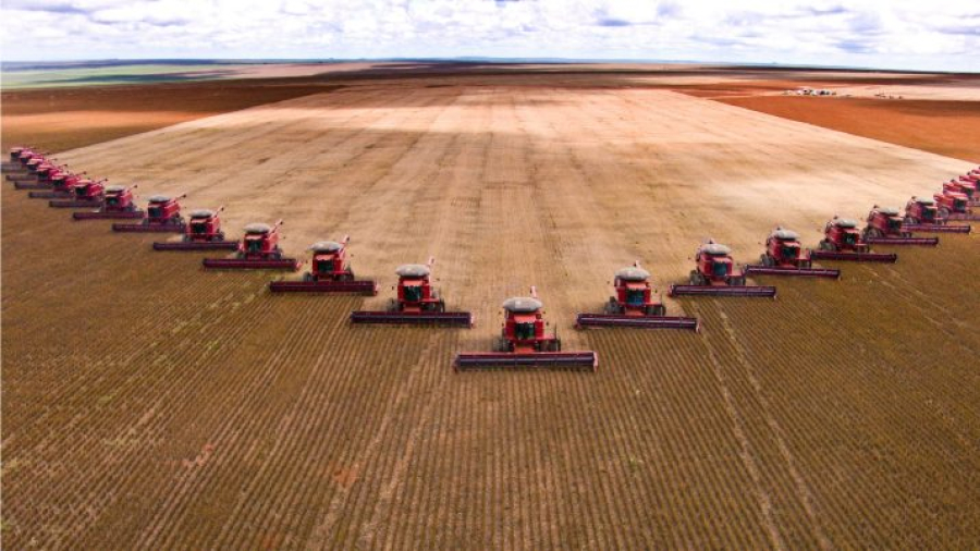 Mato Grosso lidera produção agropecuária do país com projeção de R$ 206 bilhões em 2026