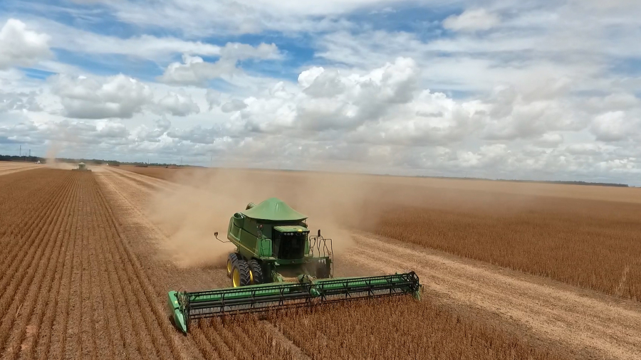 Cenário de incertezas reduz oferta de soja em Mato Grosso