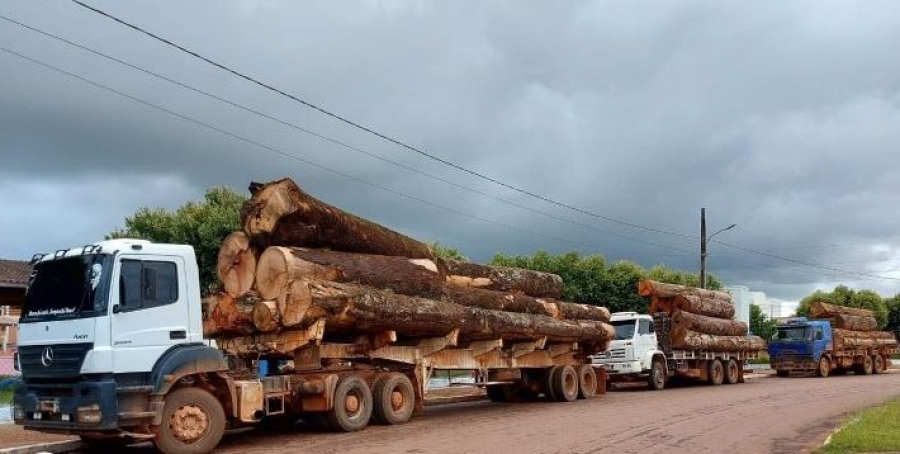 Carretas com mais de 100 toneladas circulam na MT-170 e colocam em risco a vida de motoristas
